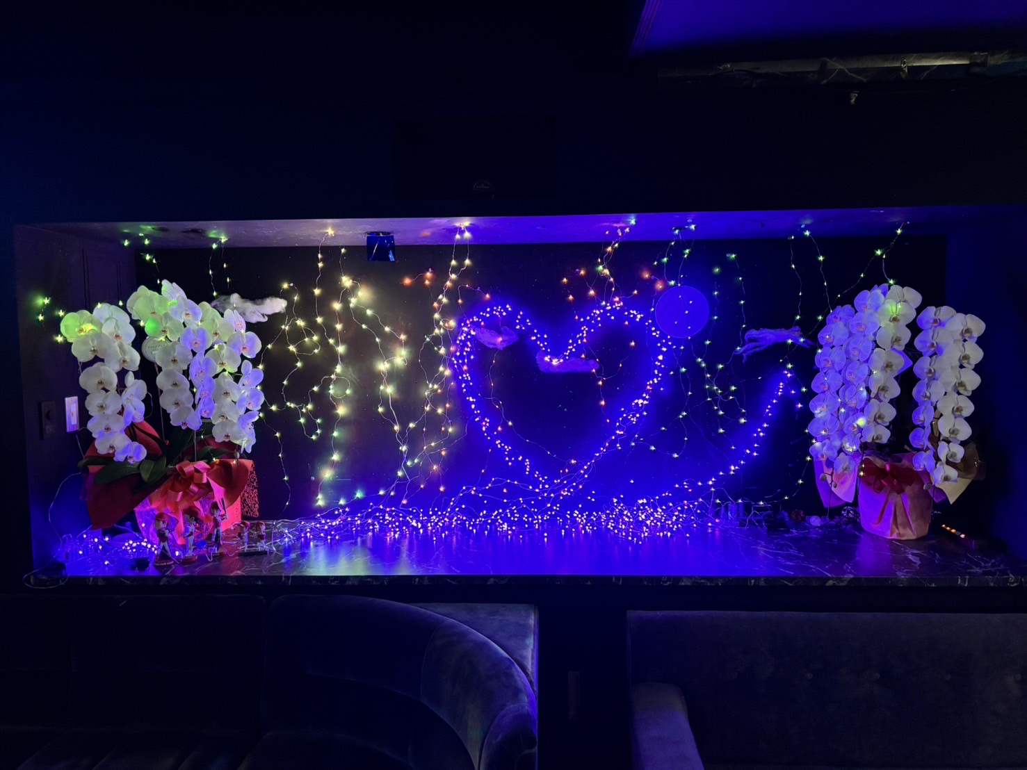 2025 2月 バレンタイン写真